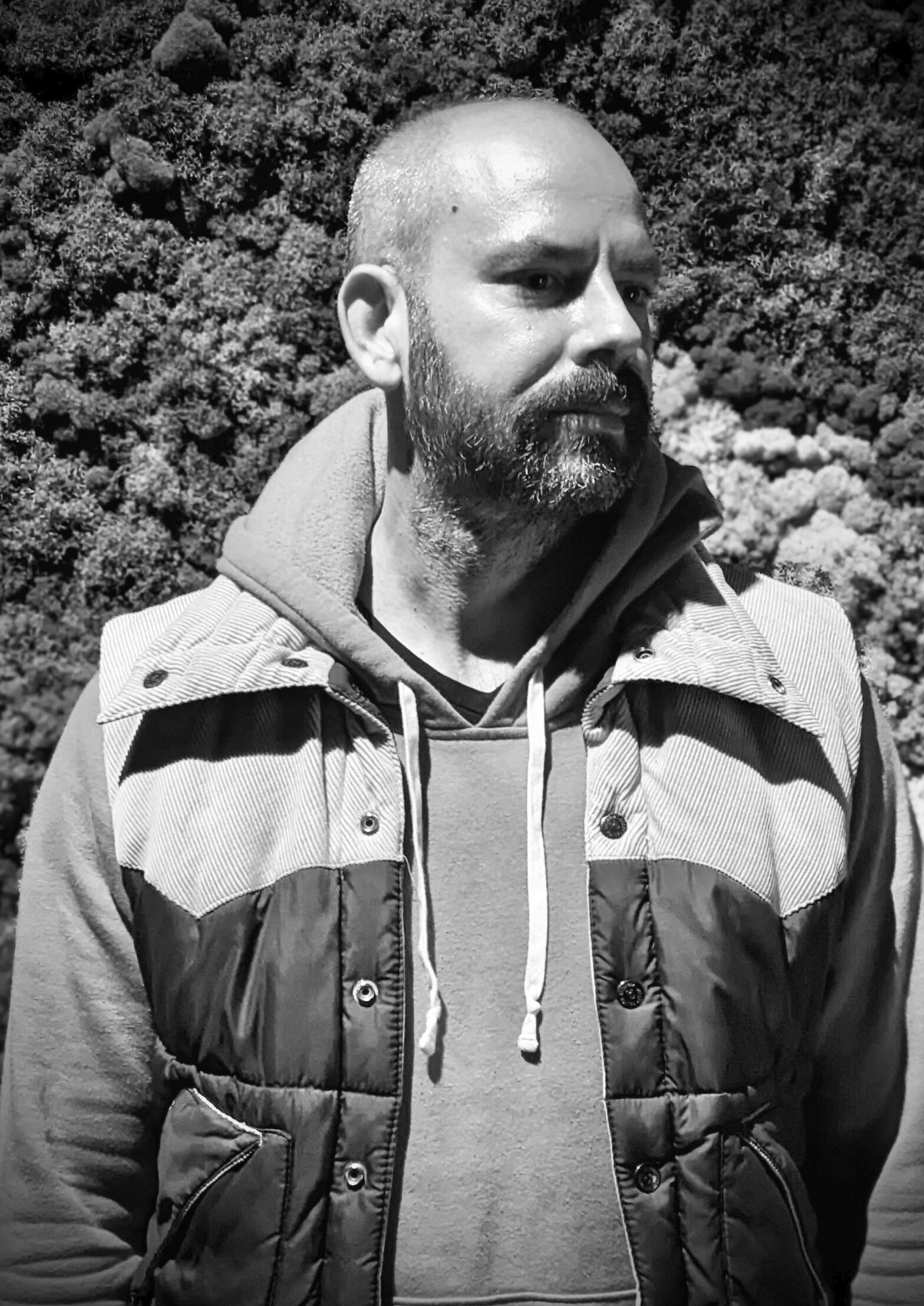 Peter Christenson FILE FESTIVAL